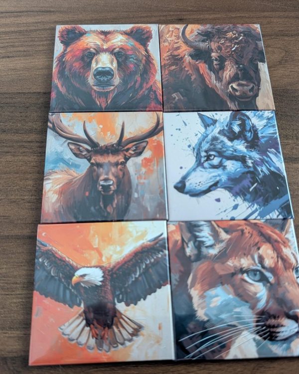 State Series Magnets 5